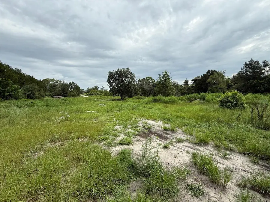 16036 Bosley Drive, Spring Hill, FL 34610 - #2