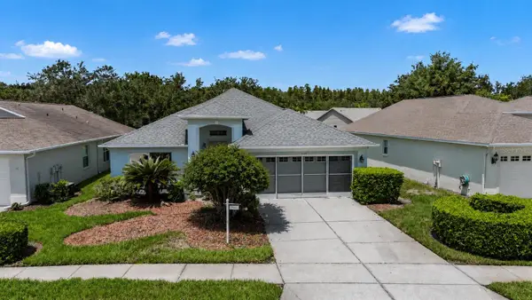 1121 Winding Willow Drive, TRINITY, FL 34655