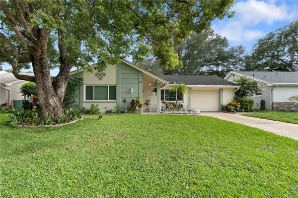 8216 Cavalry Drive, HUDSON, FL 34667