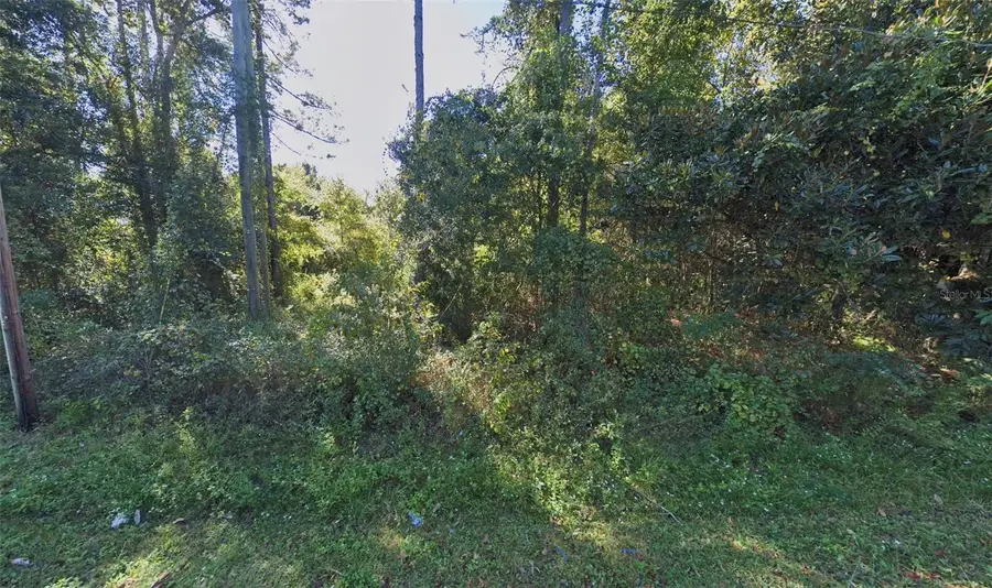 Ne 133rd Way, Raiford, FL 32083 - #2