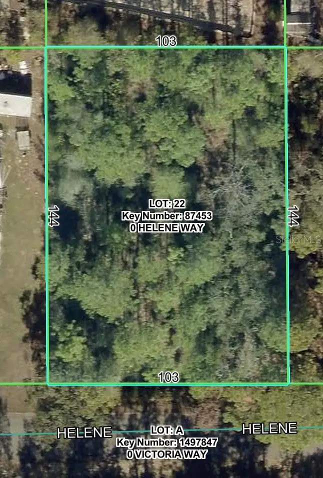 8957 Helene Way, Weeki Wachee, FL 34613 - #1