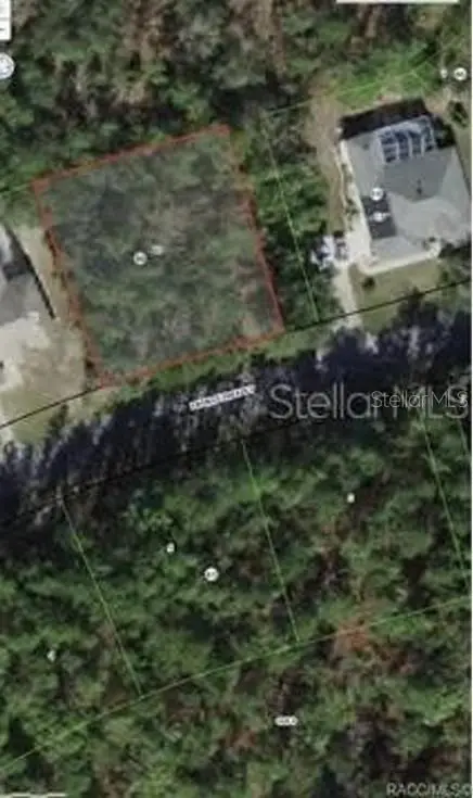 38 Fringetree Street, Homosassa, FL 34446 - #1