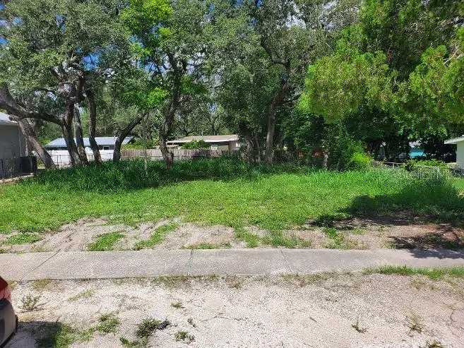 1922 Virginia Avenue, Tarpon Springs, FL 34689 - #1