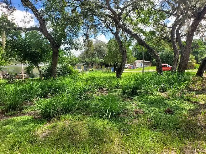 1922 Virginia Avenue, Tarpon Springs, FL 34689 - #2