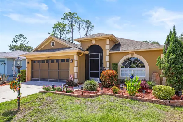 11353 Heritage Point Drive, HUDSON, FL 34667