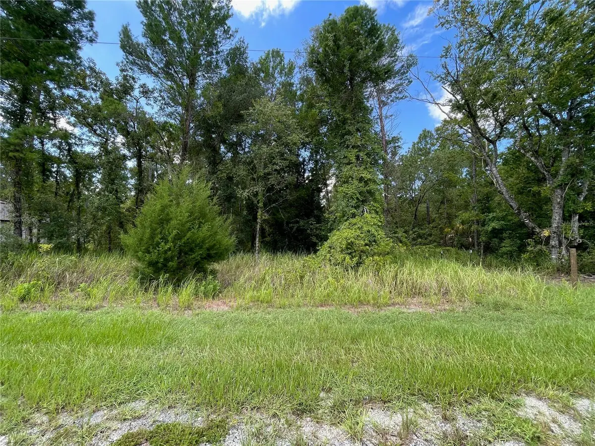 0 Thrasher Avenue, Weeki Wachee, FL 34614 - #1