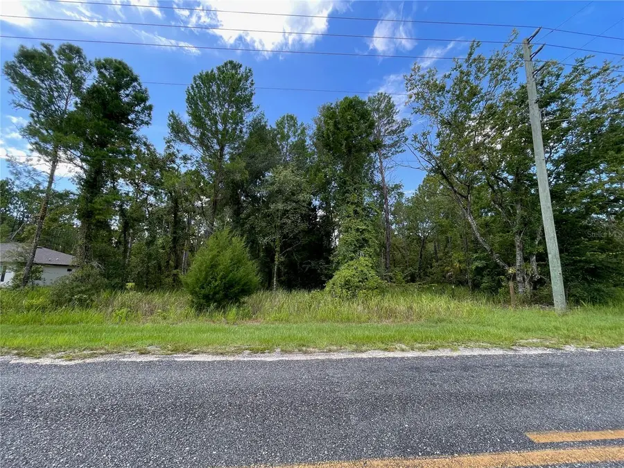 0 Thrasher Avenue, Weeki Wachee, FL 34614 - #3