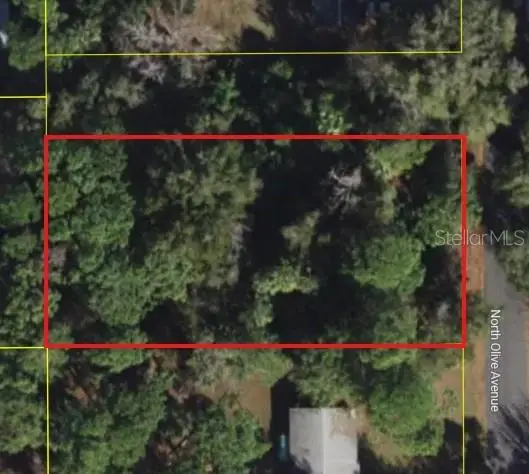 3408 N Olive Avenue, Crystal River, FL 34428 - #1
