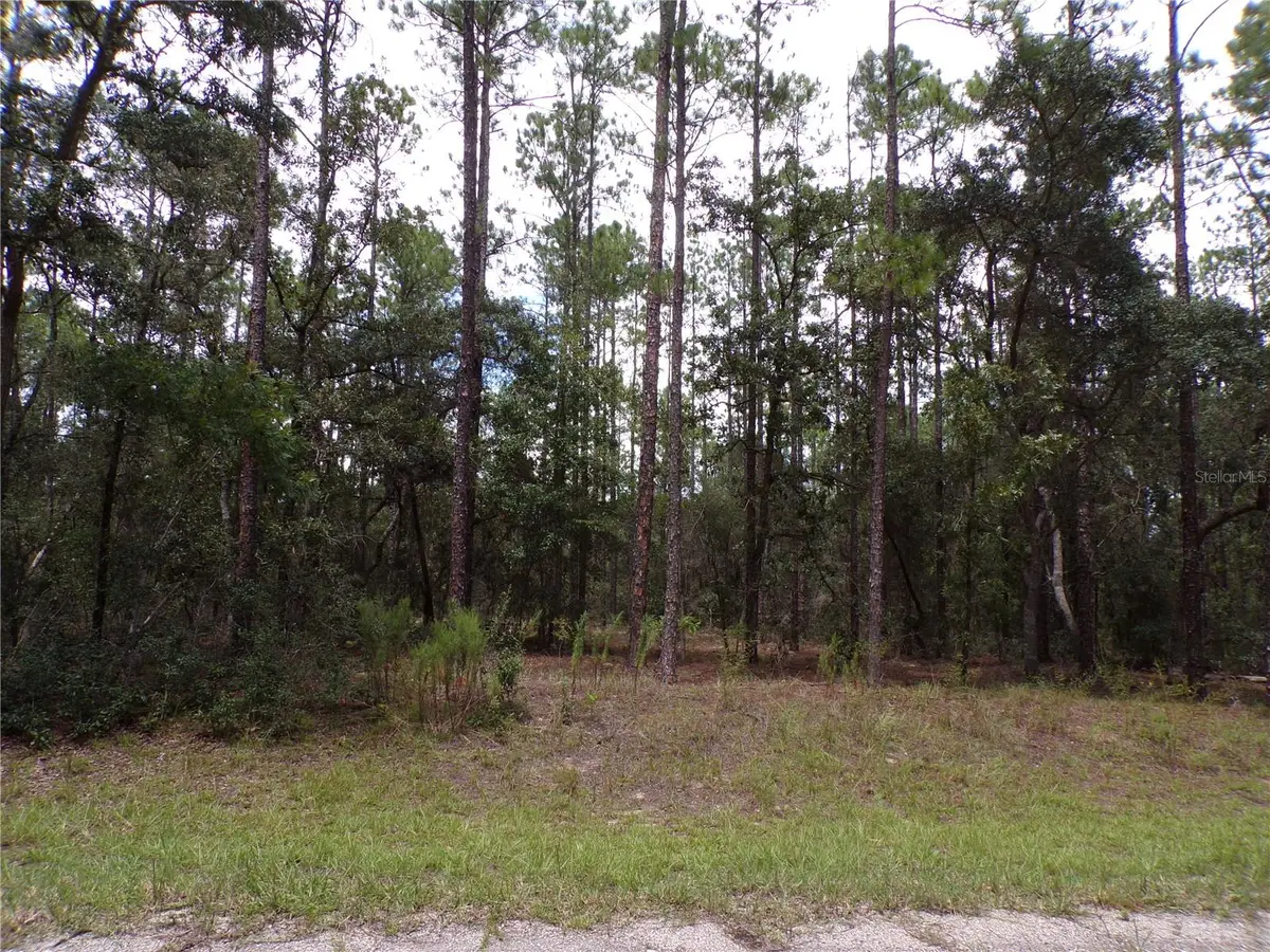 601 E Marquette Lane, Citrus Springs, FL 34434 - #1