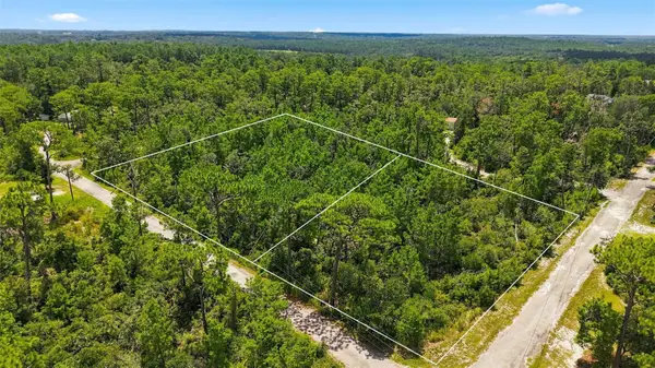 0 Lanier (lot 2) Avenue, BROOKSVILLE, FL 34604