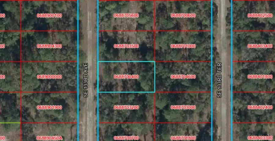 43 SE 133rd Avenue, Dunnellon, FL 34431 - #3