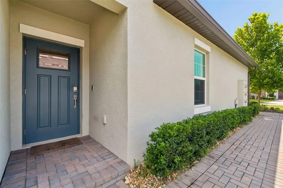 16842 Forge Surf Street, Land O Lakes, FL 34638 - #3