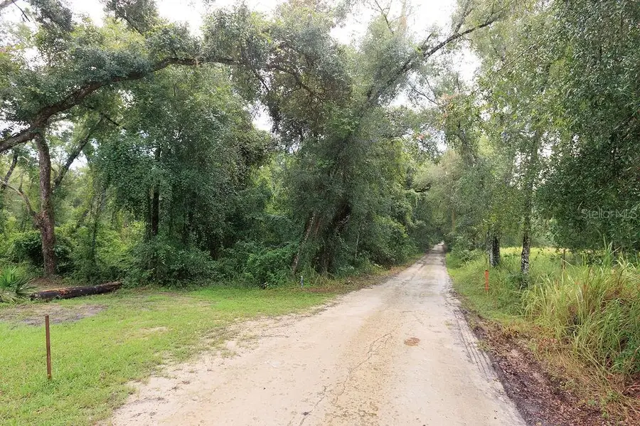 0 Lucilles Shady Lane, Nobleton, FL 34661 - #3