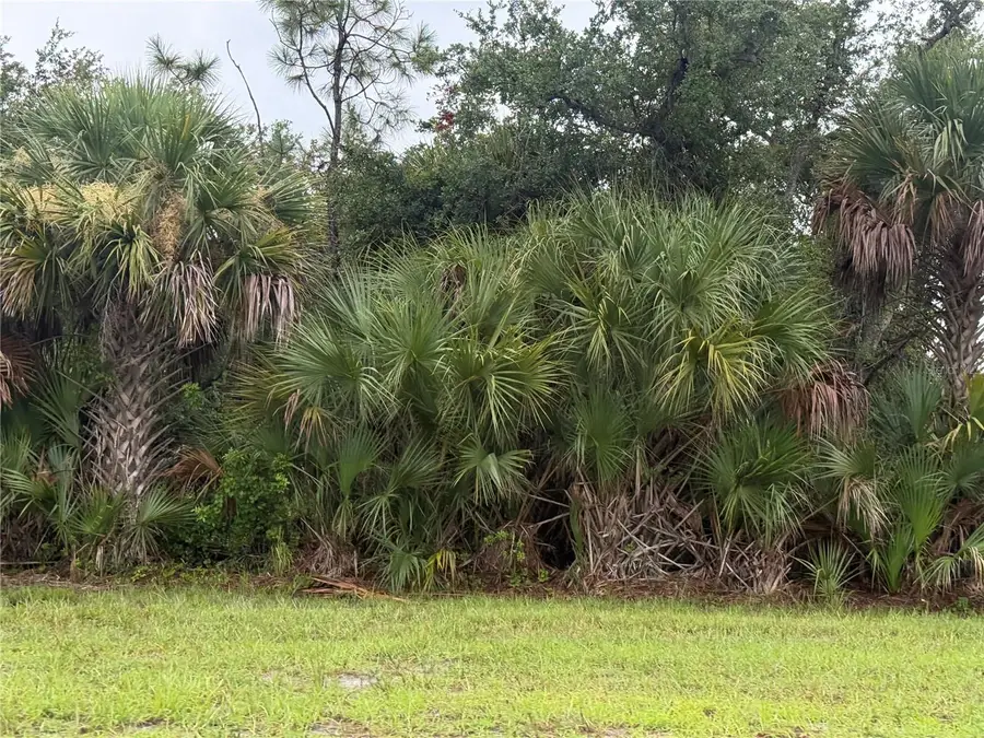 13241 Appleton Boulevard, Port Charlotte, FL 33981 - #2