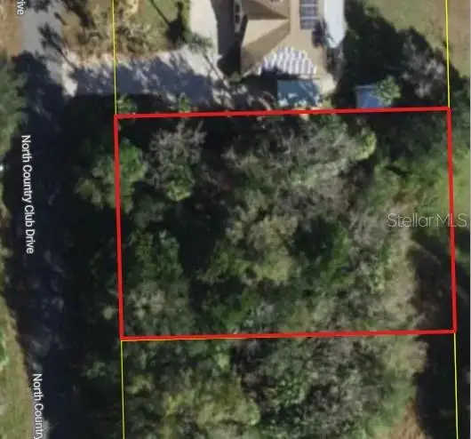 90 N Country Club Drive, Crystal River, FL 34429 - #1