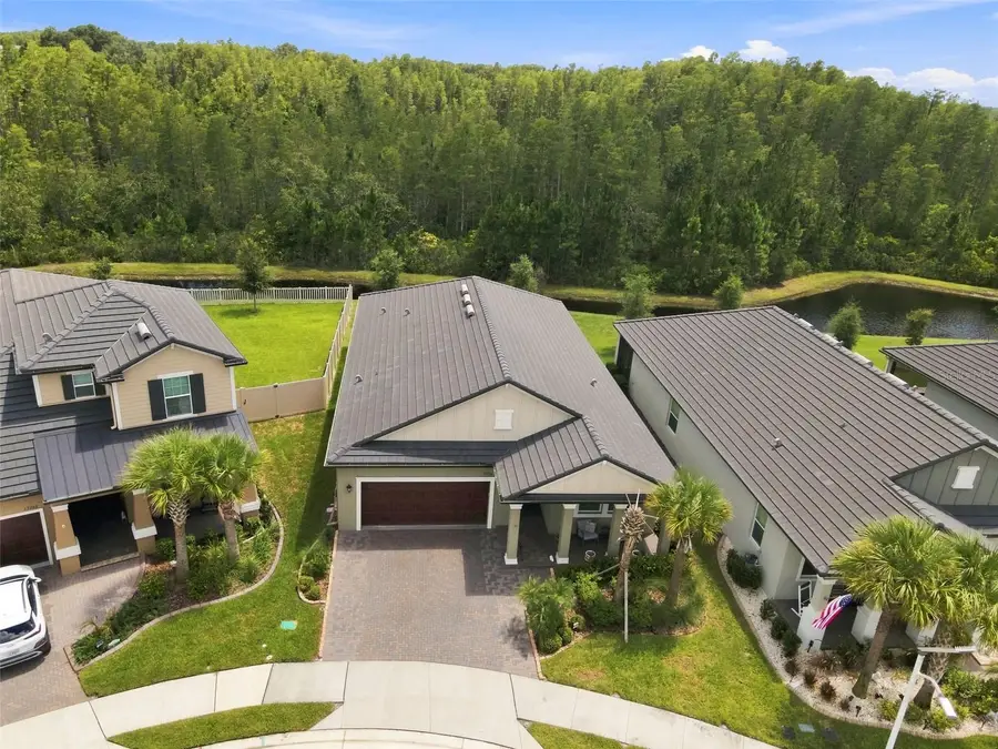 17254 Mango Shay Court, Land O Lakes, FL 34638 - #3