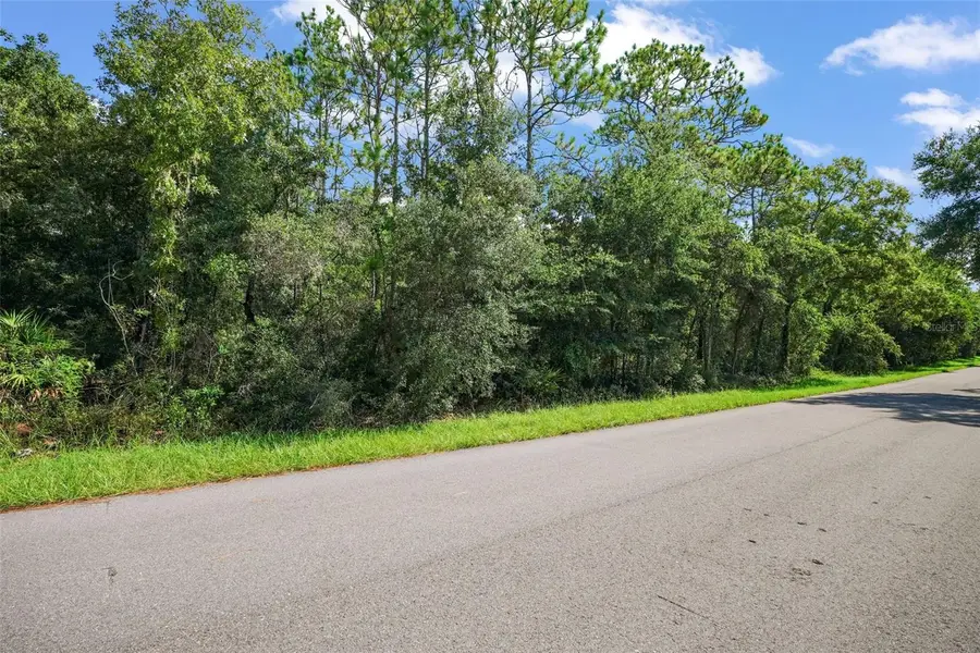 33441 Tombstone Street, Webster, FL 33597 - #3