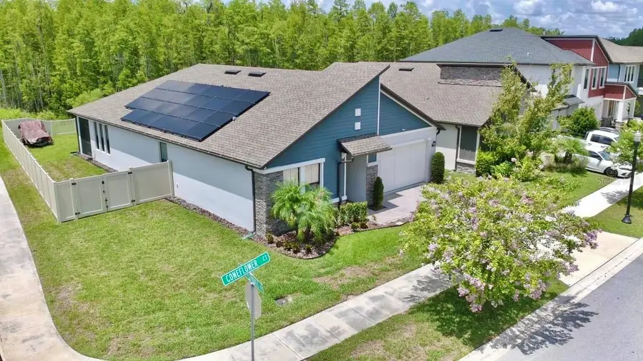 9723 Coneflower Court, Land O Lakes, FL 34637 - #3