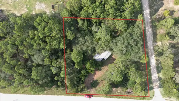 650 NE 138 Avenue, WILLISTON, FL 32696