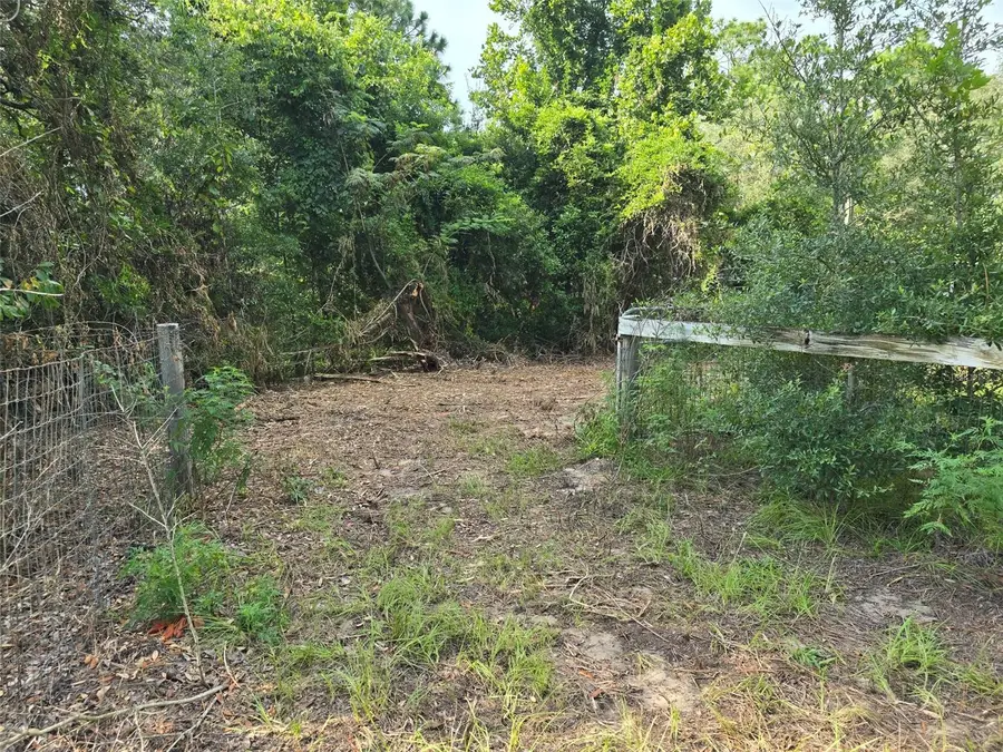 650 NE 138 Avenue, Williston, FL 32696 - #2