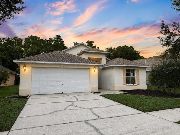 12533 Sparkleberry Road, TAMPA, FL 33626