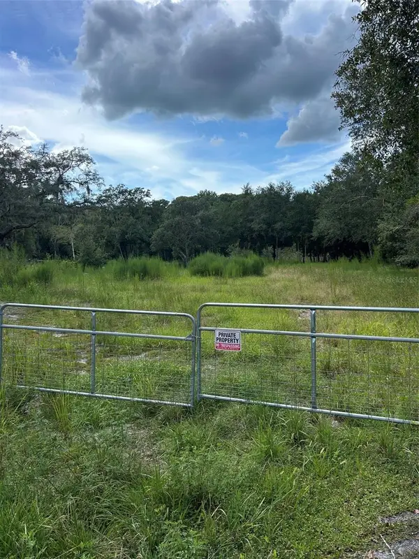 11017 Tracey Court, NEW PORT RICHEY, FL 34654