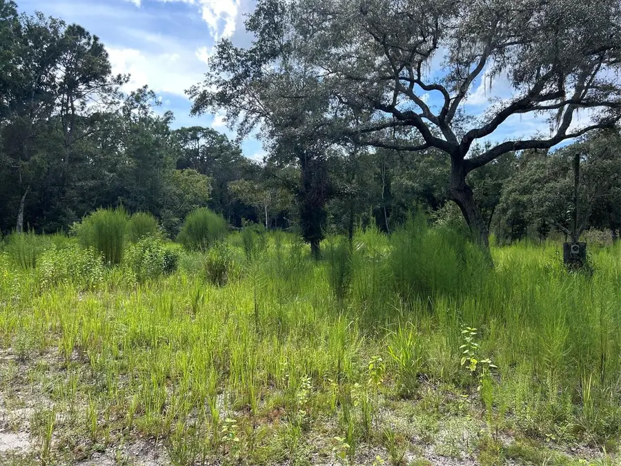 11017 Tracey Court, New Port Richey, FL 34654 - #2