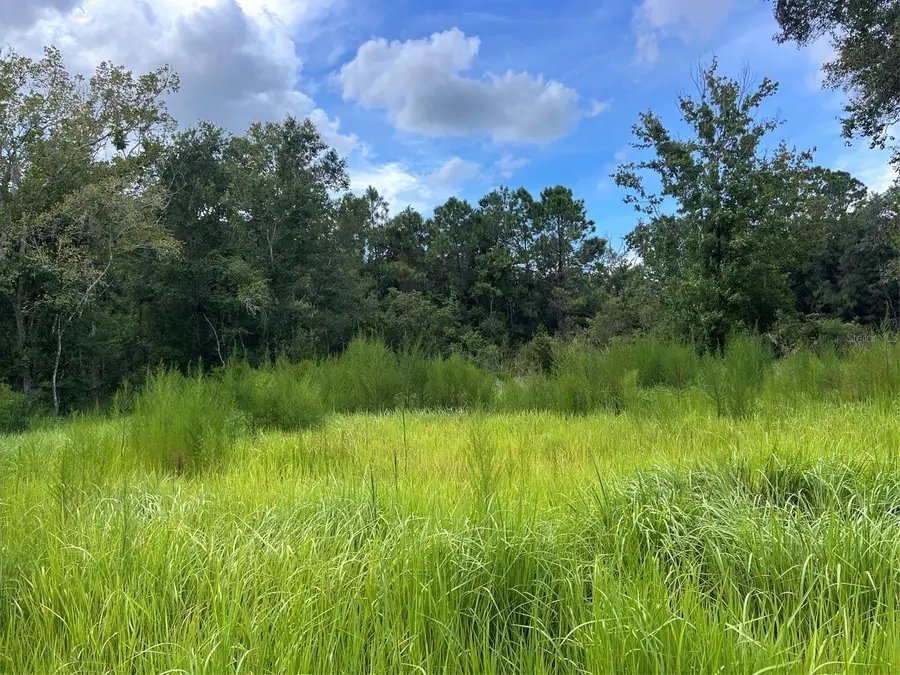 11025 Tracey Court, New Port Richey, FL 34654 - #2