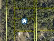 Summer Street, Brooksville, FL 34613 - #1