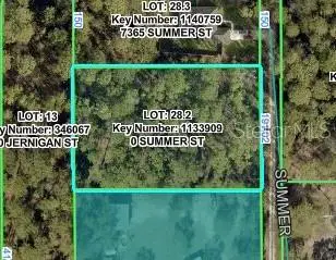 Summer Street, Brooksville, FL 34613 - #2