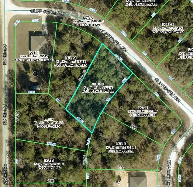 15551 Cliff Swallow Road, Weeki Wachee, FL 34614 - #1