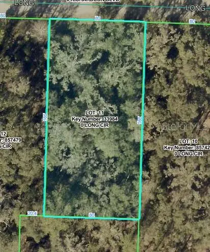 Long Circle, Webster, FL 33597 - #2