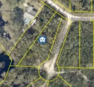8279 Coley Street, Webster, FL 33597 - #1