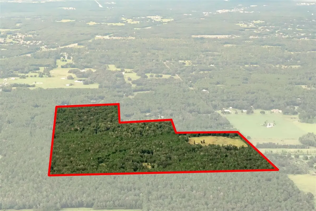 Crum Road, Brooksville, FL 34604 - #1