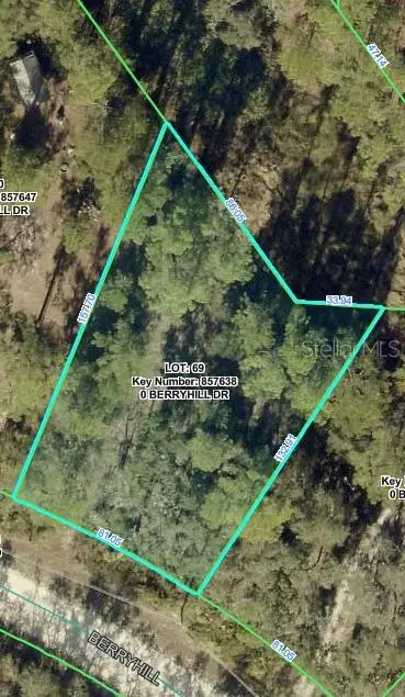Berryhill Drive, WEBSTER, FL 33597