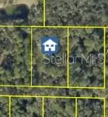 Pinon Drive, WEBSTER, FL 33597