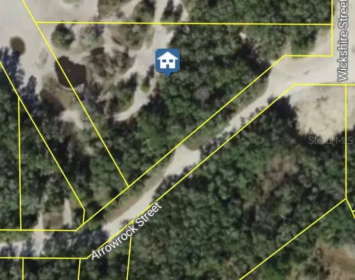 Arrowrock Street, Webster, FL 33597 - #2