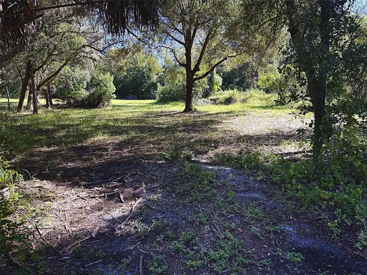 9630 Ellis Street, New Port Richey, FL 34654 - #1