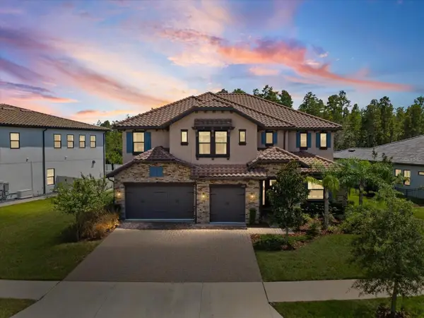 6022 Marsh Trail Drive, ODESSA, FL 33556
