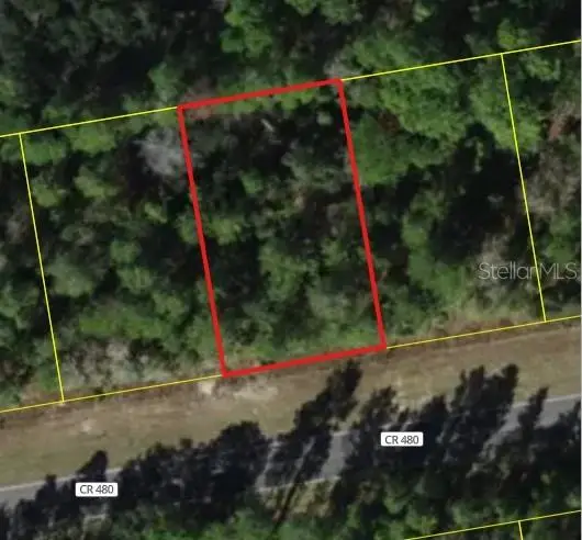 6407 W Oak Park Boulevard, Homosassa, FL 34446 - #1