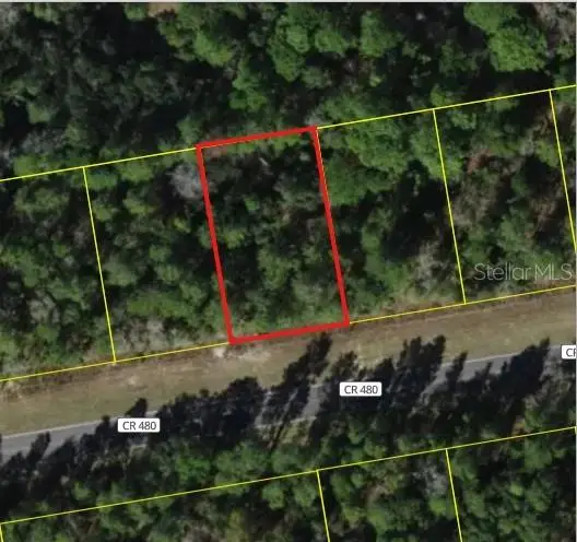 6407 W Oak Park Boulevard, Homosassa, FL 34446 - #3