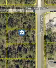 Mellon Road, WEEKI WACHEE, FL 34614