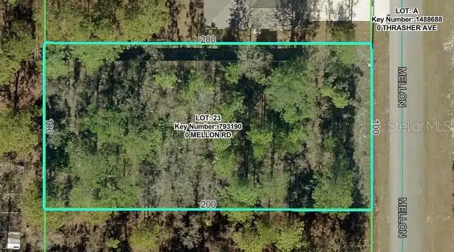 Mellon Road, Weeki Wachee, FL 34614 - #2