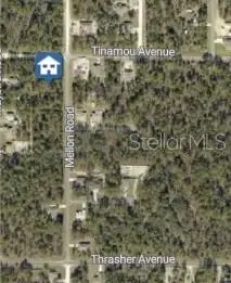Mellon Road, Weeki Wachee, FL 34614 - #3