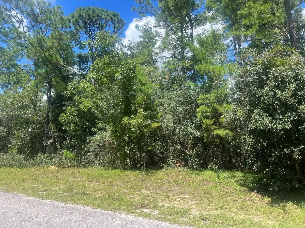 Whipperwill Street, Brooksville, FL 34601 - #1