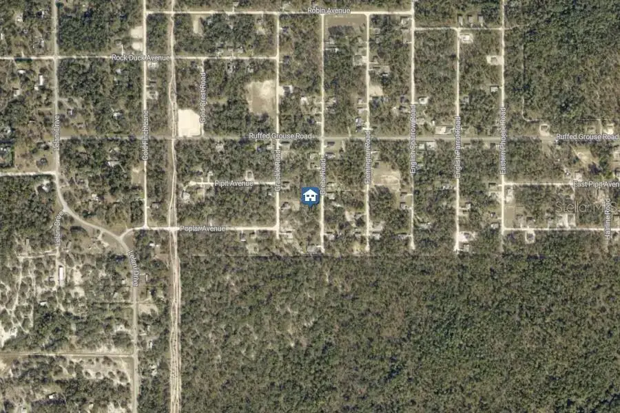 LOT 16 Grebe Road, Weeki Wachee, FL 34614 - #3
