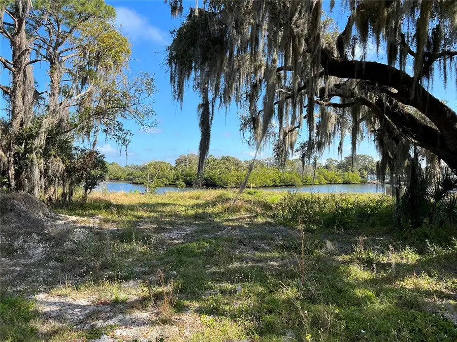 Tiberius Trail, New Port Richey, FL 34652 - #3