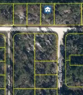 3021 Japonica Avenue, Lake Placid, FL 33852 - #1
