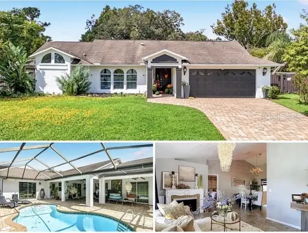 4119 Castle Avenue, SPRING HILL, FL 34609