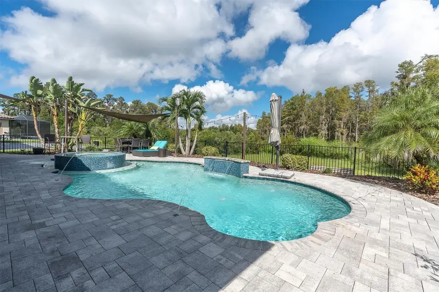 12813 Berrypick Trail, Odessa, FL 33556 - #3